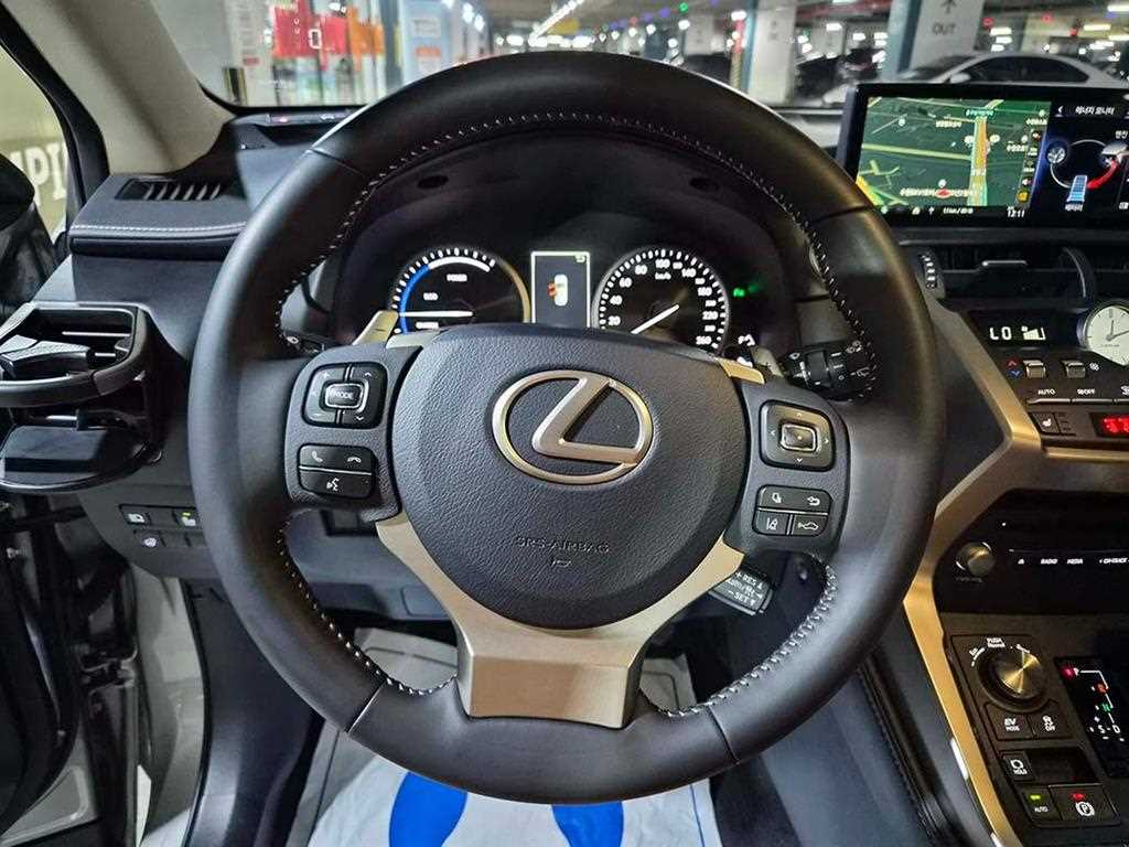 Lexus NX - Vista 8