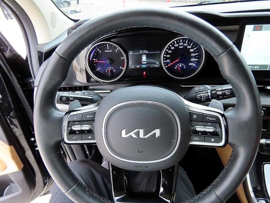 KIA Carnival - Vista 9