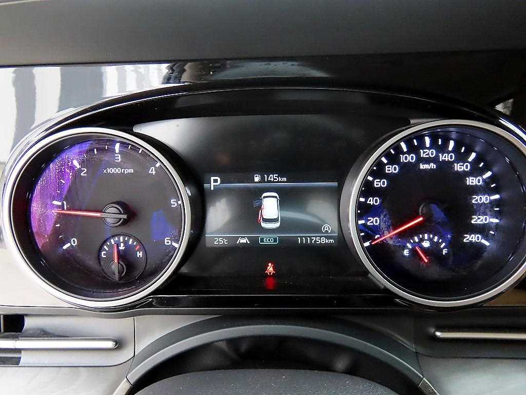 KIA Carnival - Vista 10