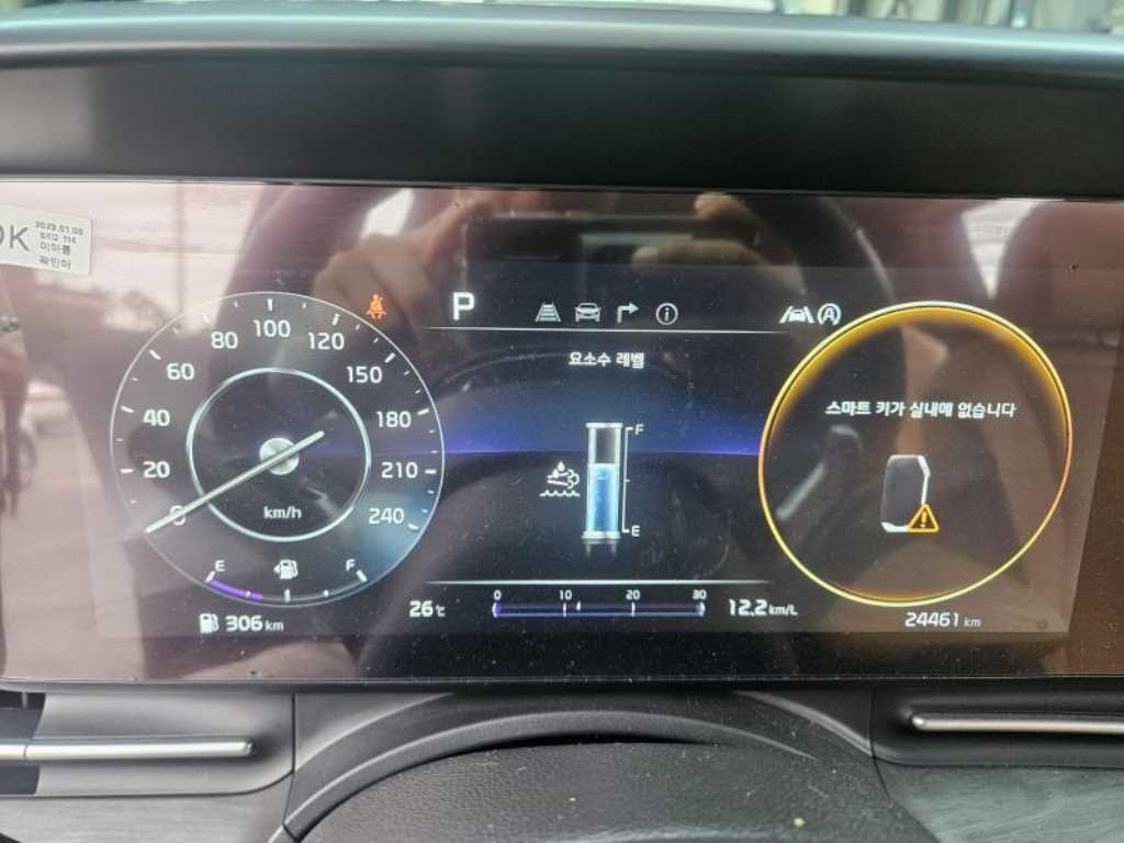 KIA Carnival - Vista 8