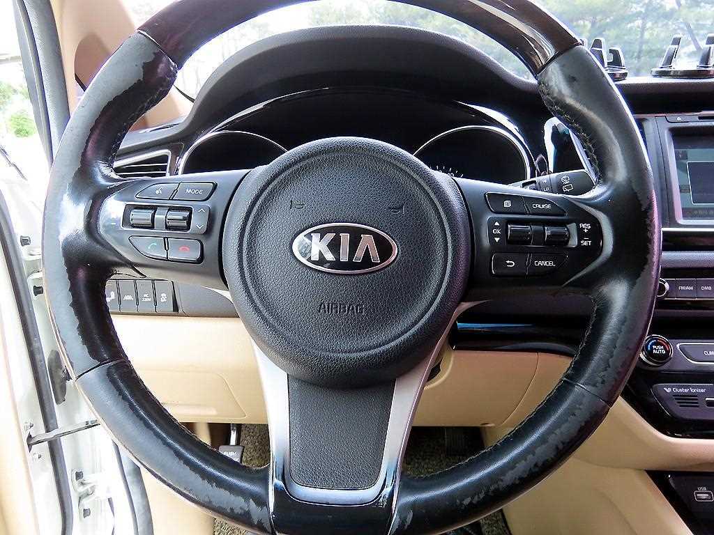 KIA Carnival - Vista 8