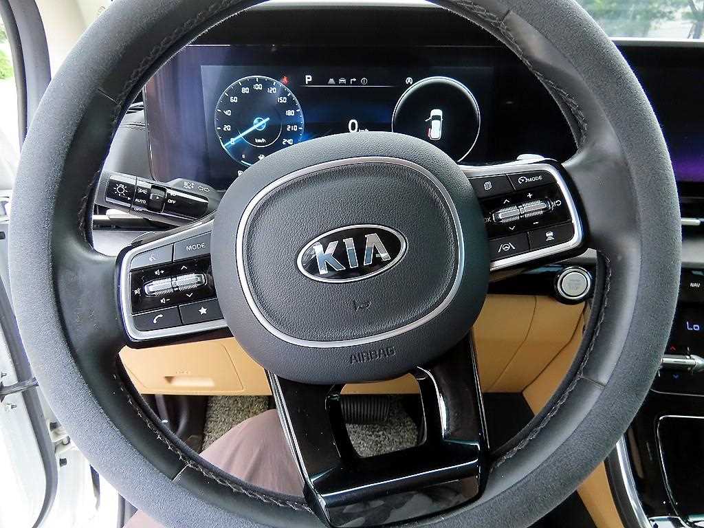 KIA Carnival - Vista 9
