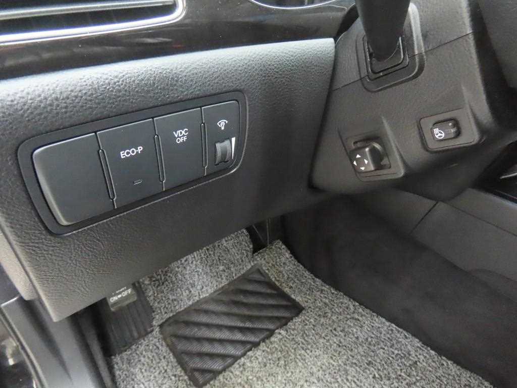 HYUNDAI Genesis - Vista 10