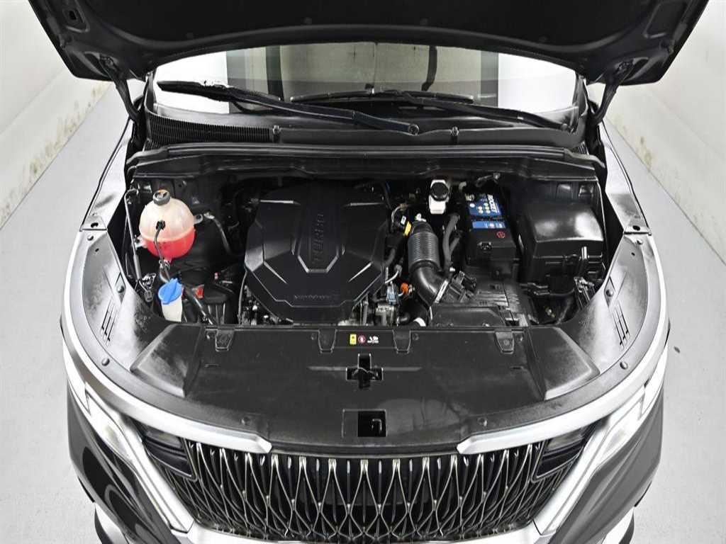 KIA Carnival - Vista 6