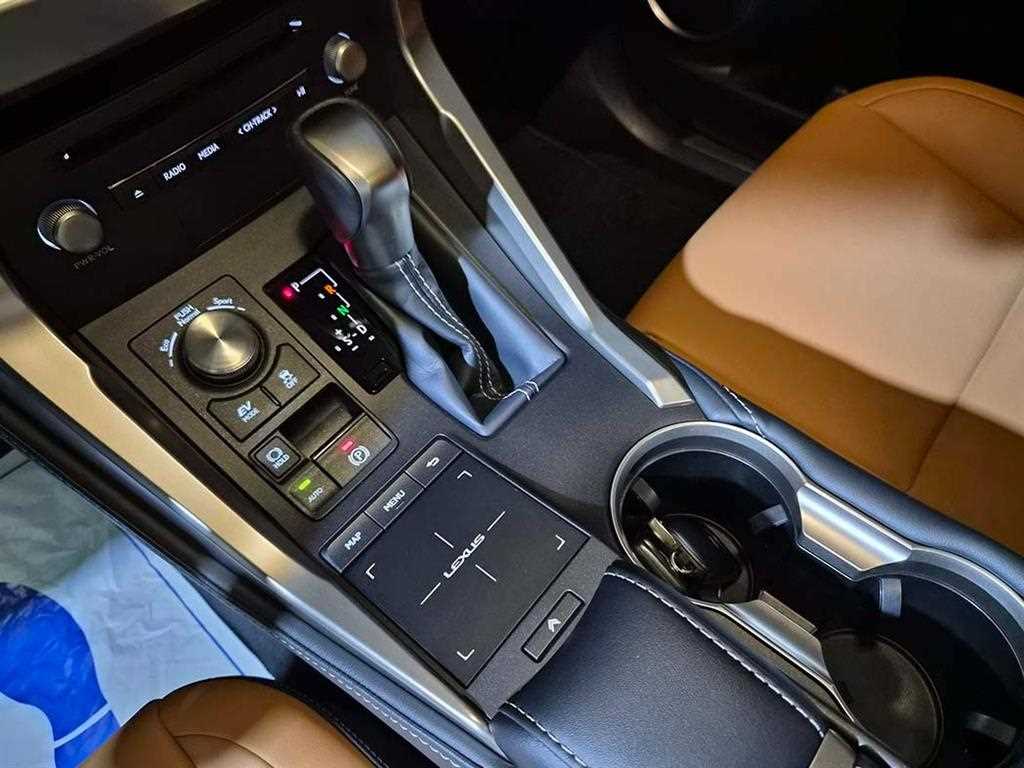 Lexus NX - Vista 11