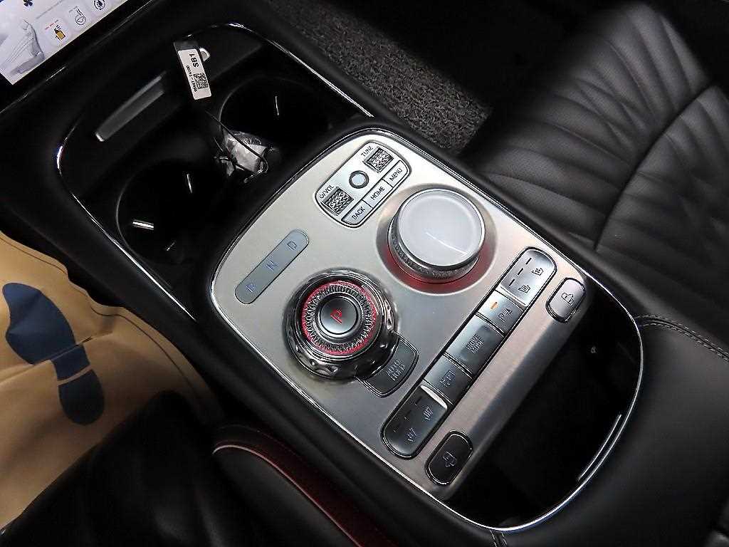 Genesis G90 - Vista 10