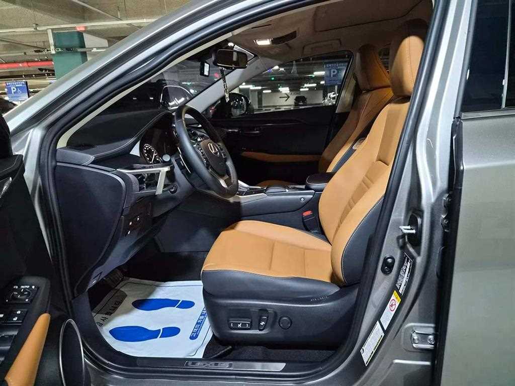 Lexus NX - Vista 6