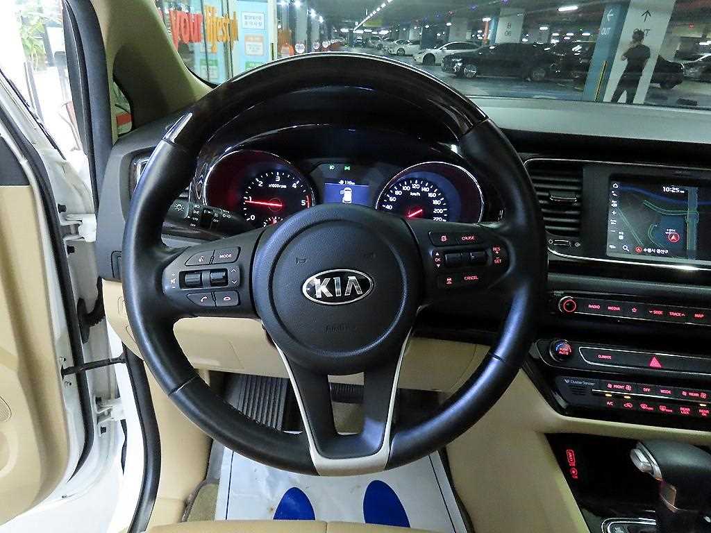 KIA Carnival - Vista 8