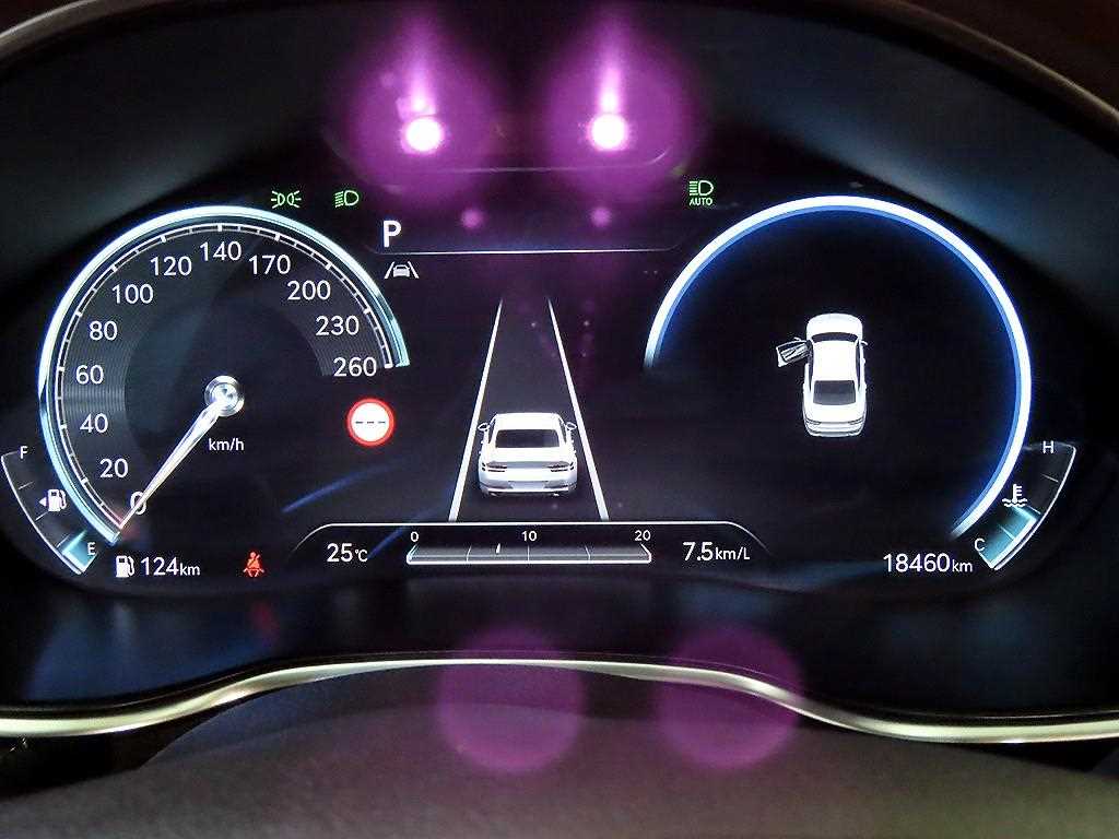 Genesis G80 - Vista 9