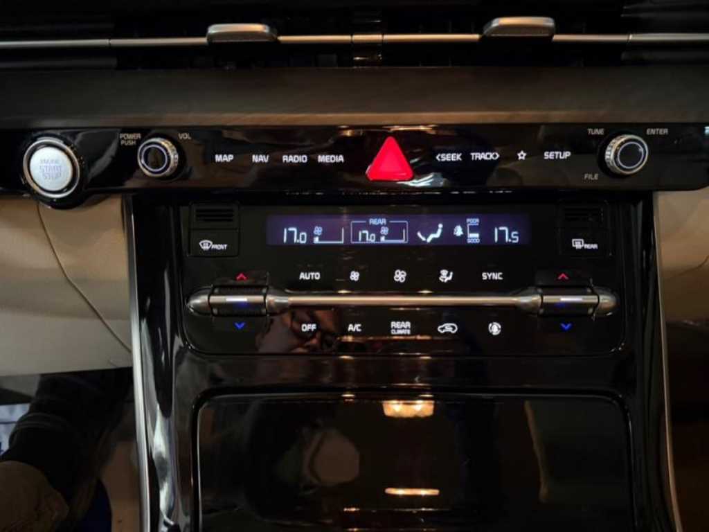 KIA Carnival - Vista 12