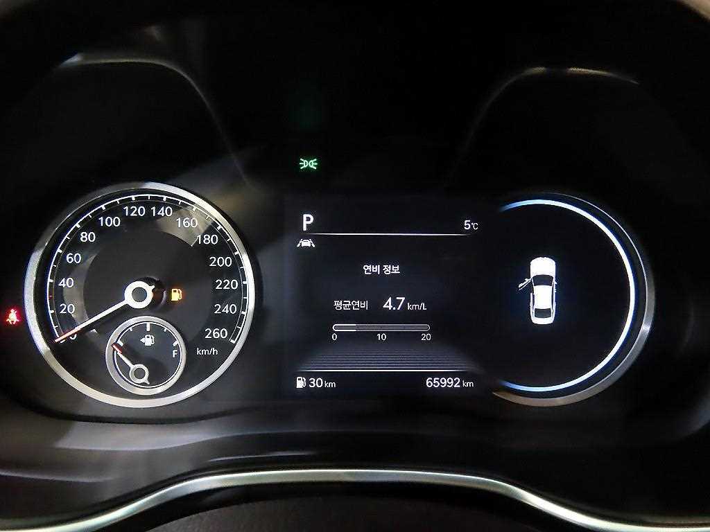 Genesis G80 - Vista 9