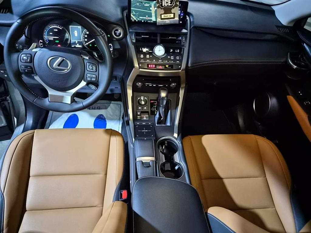 Lexus NX - Vista 10