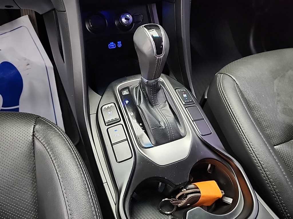 HYUNDAI Maxcruz - Vista 8