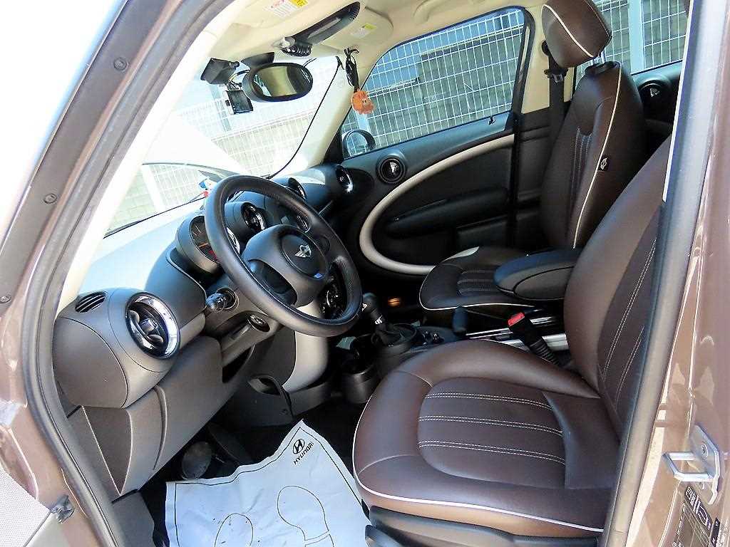 Mini Countryman - Vista 5