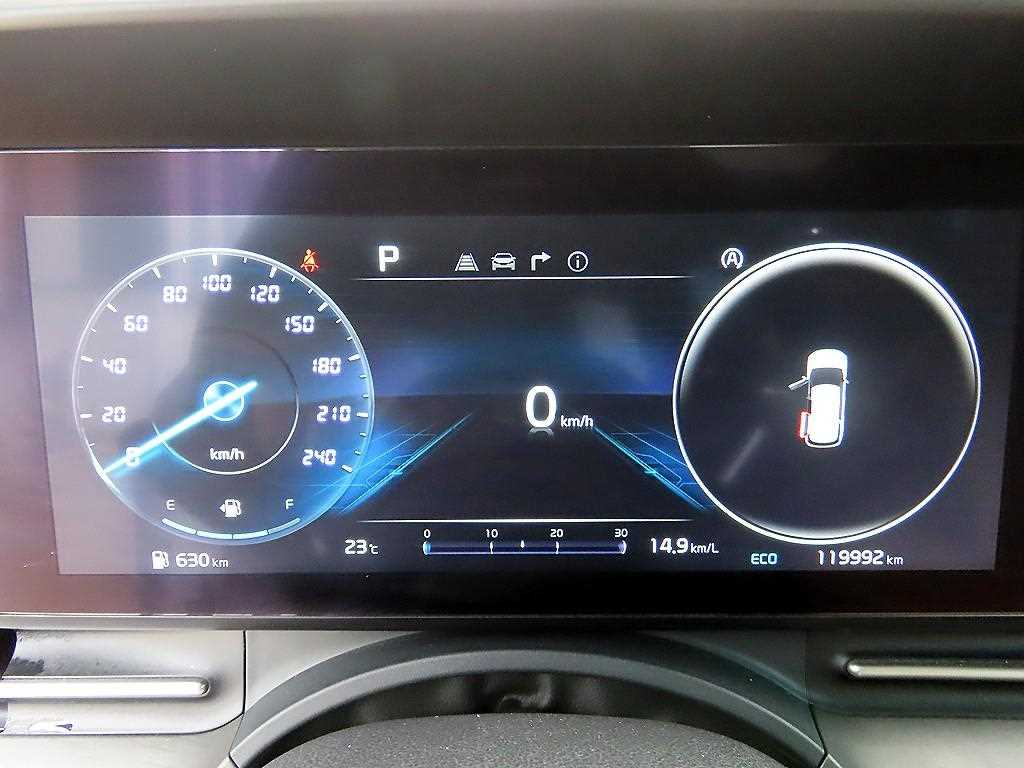 KIA Carnival - Vista 10