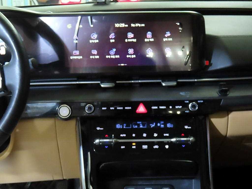 KIA Carnival - Vista 12