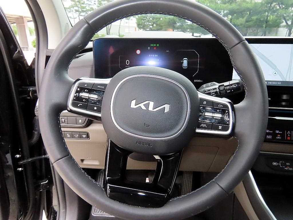 KIA Carnival - Vista 8