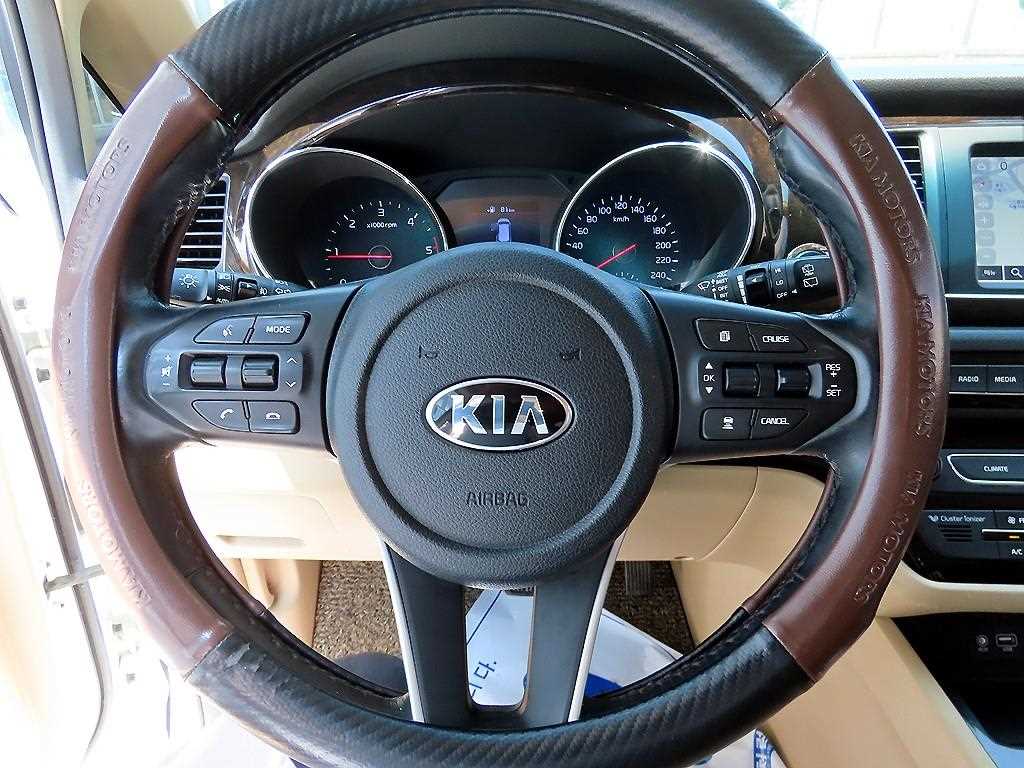 KIA Carnival - Vista 9