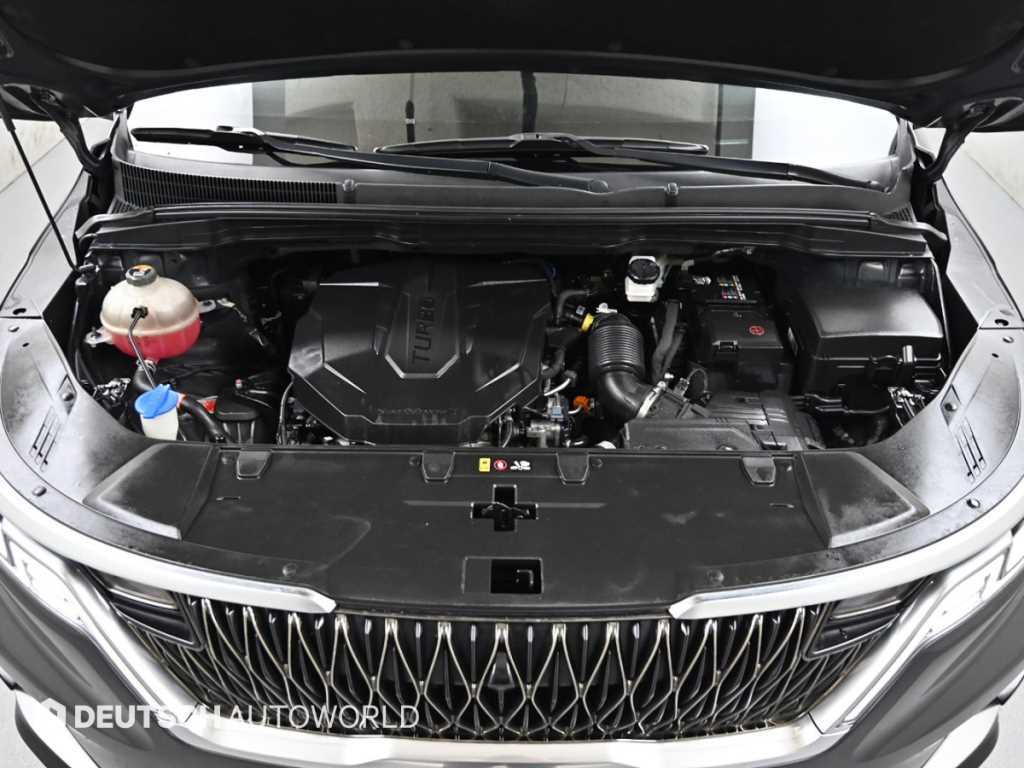 KIA Carnival - Vista 6