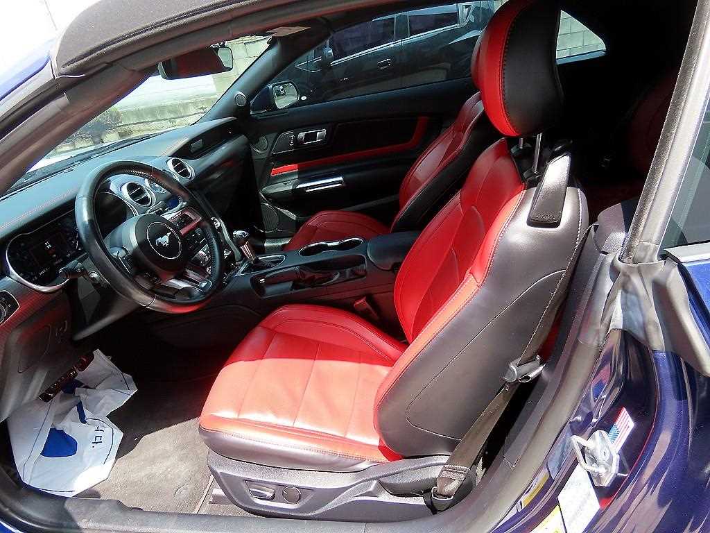 Ford Mustang - Vista 9