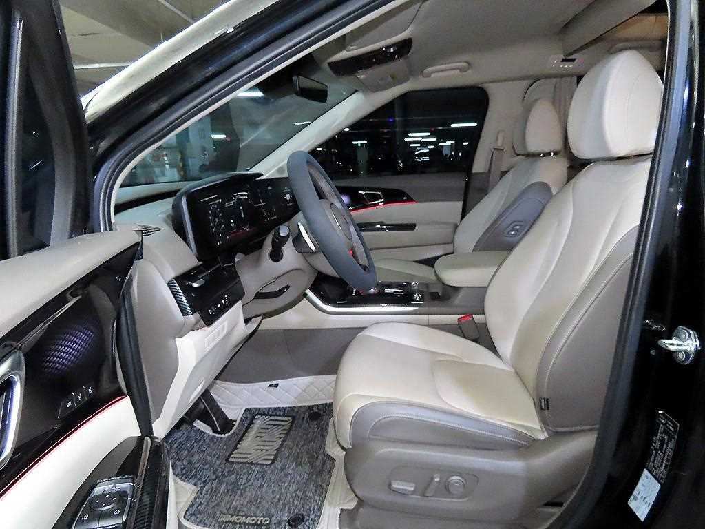 KIA Carnival - Vista 6
