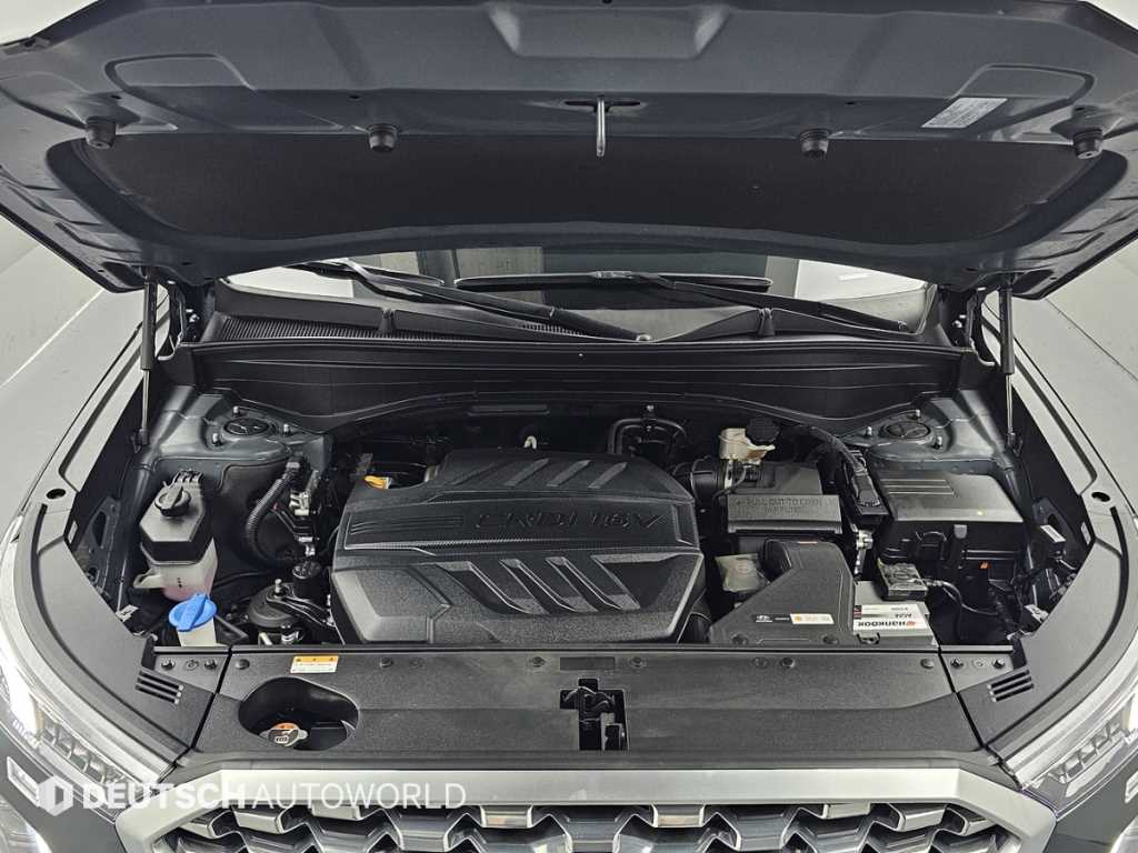 HYUNDAI Palisade - Vista 6