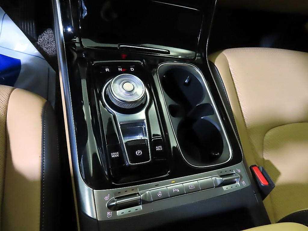 KIA Carnival - Vista 12