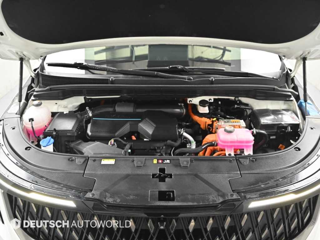 KIA Carnival - Vista 6