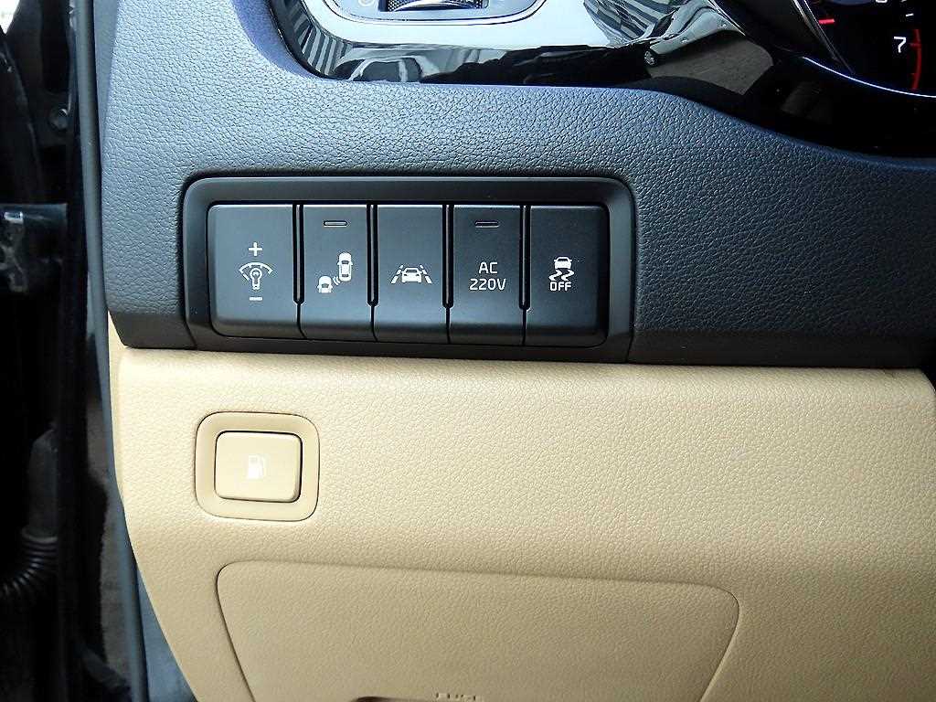 KIA Carnival - Vista 11