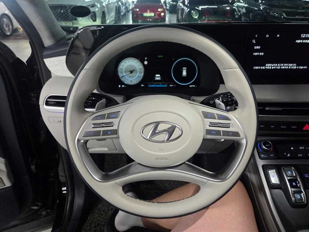 HYUNDAI Palisade - Vista 7