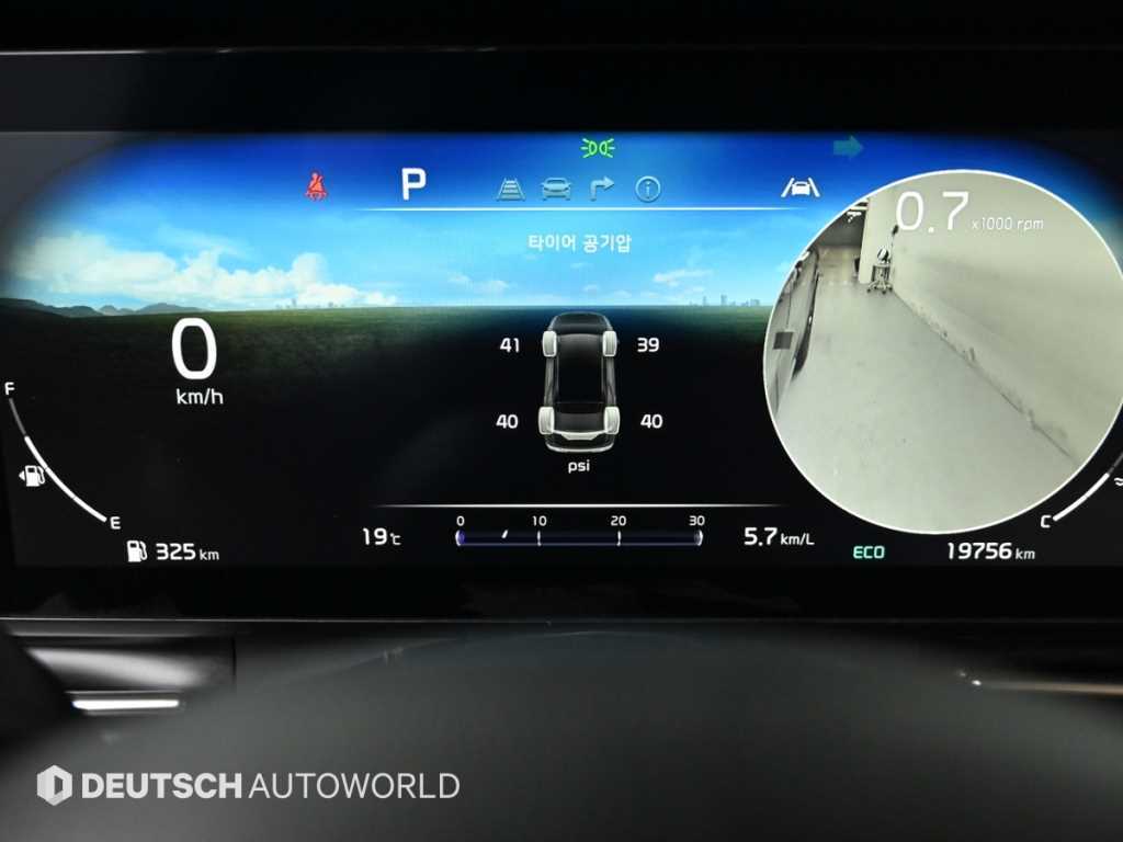 KIA Carnival - Vista 8