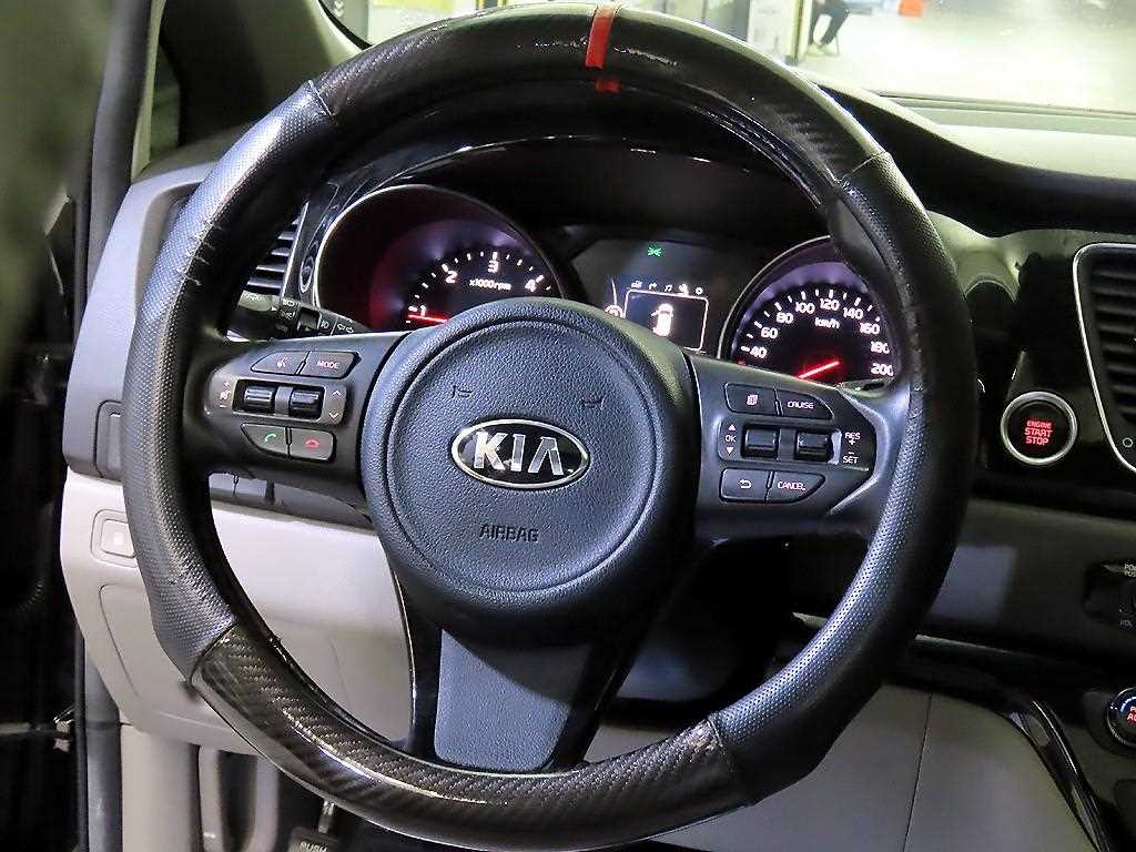 KIA Carnival - Vista 8