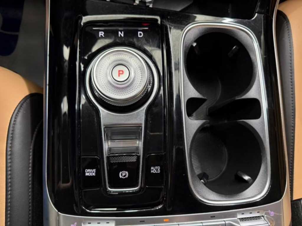 KIA Carnival - Vista 12