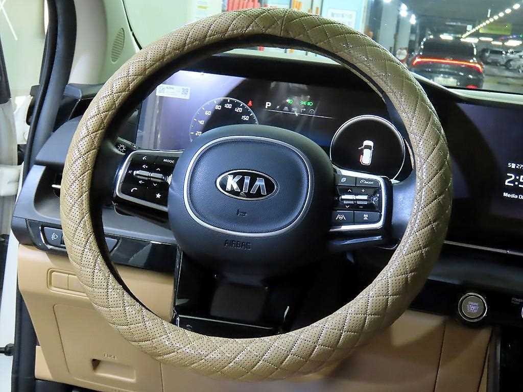 KIA Carnival - Vista 8