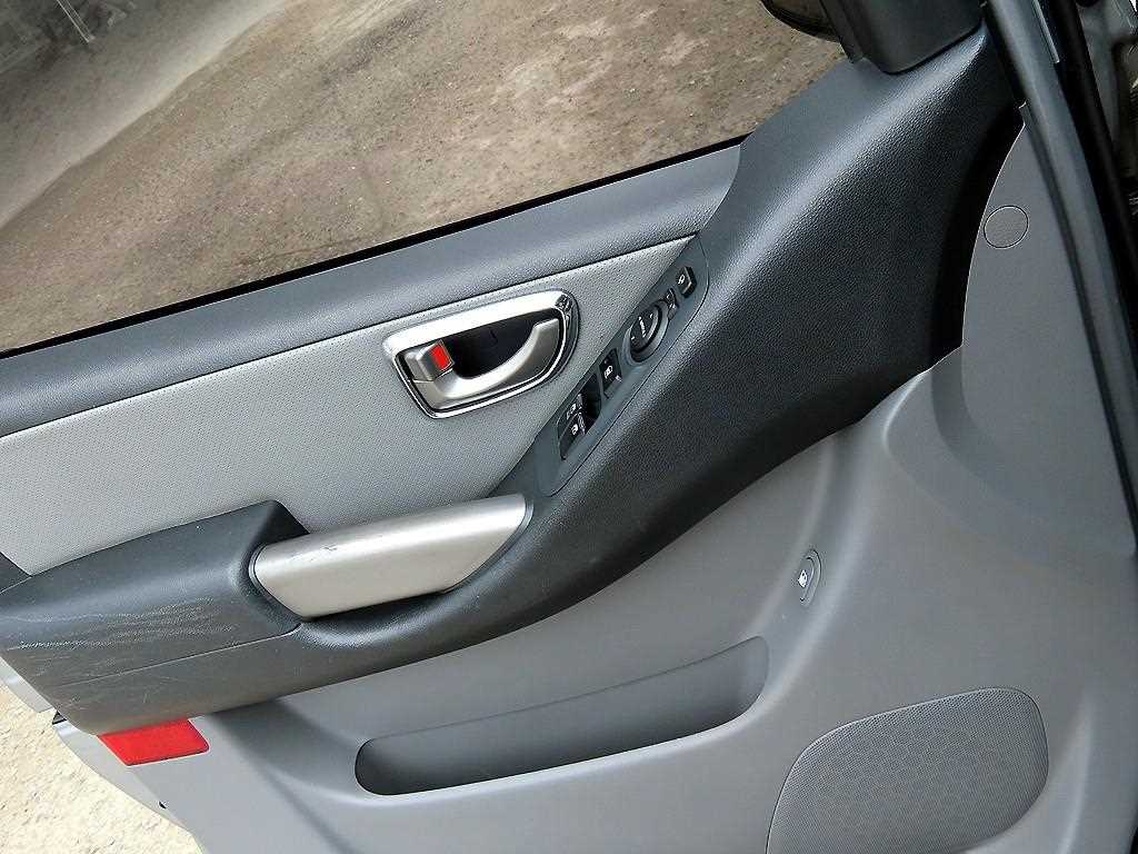 HYUNDAI Starex - Vista 11