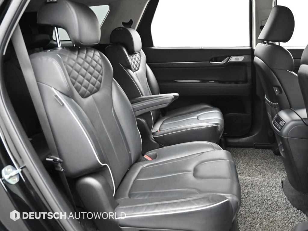 HYUNDAI Palisade - Vista 12