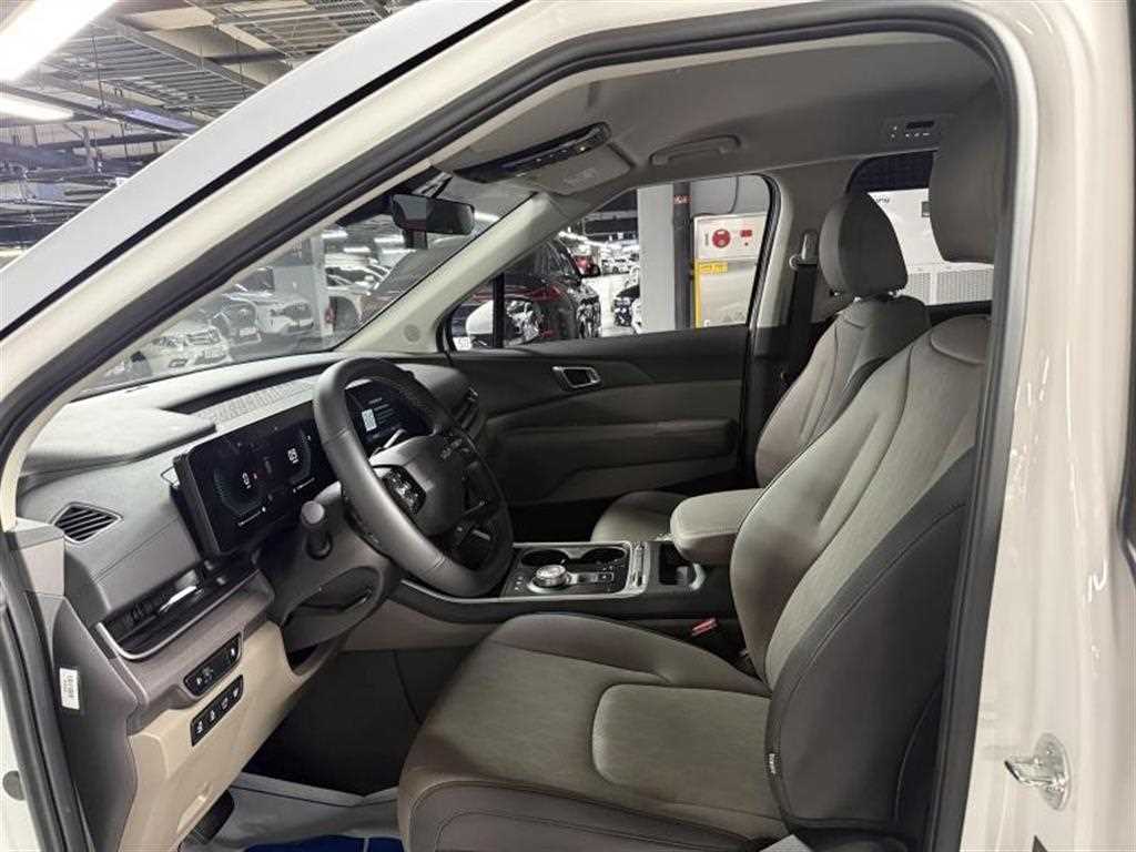 KIA Carnival - Vista 7