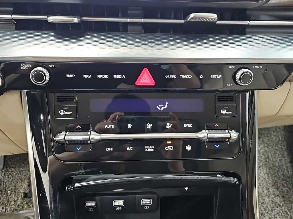KIA Carnival - Vista 10
