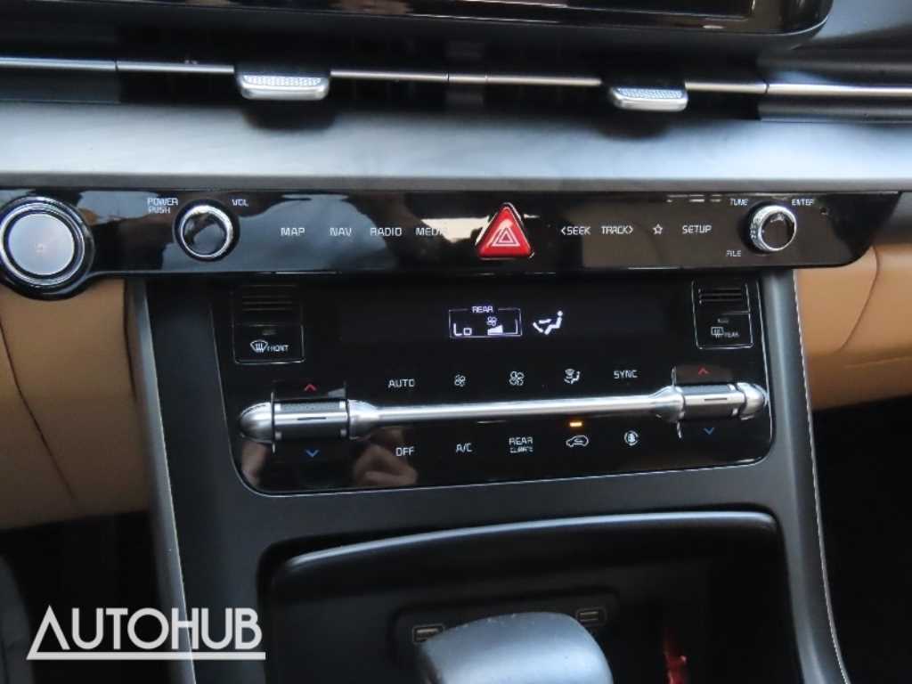 KIA Carnival - Vista 8
