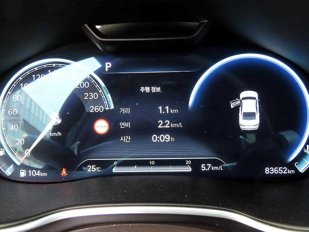 Genesis G80 - Vista 9