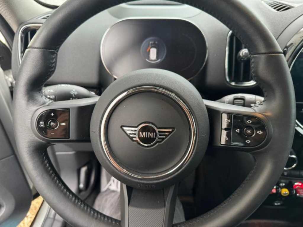 Mini Countryman - Vista 5