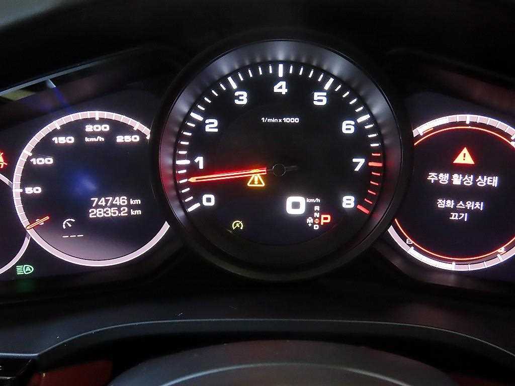 Porsche Cayenne - Vista 9