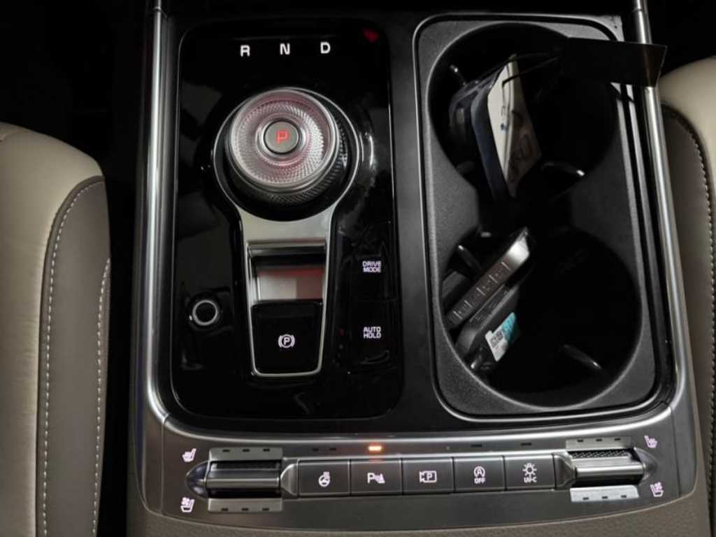 KIA Carnival - Vista 12