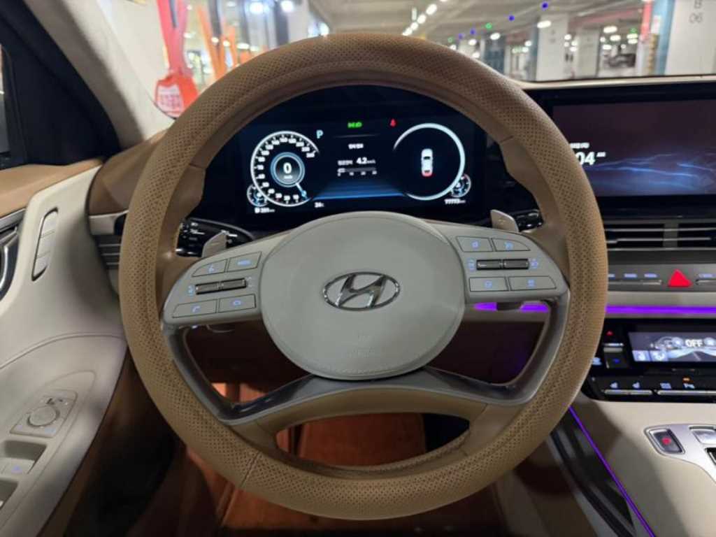 HYUNDAI Grandeur - Vista 8