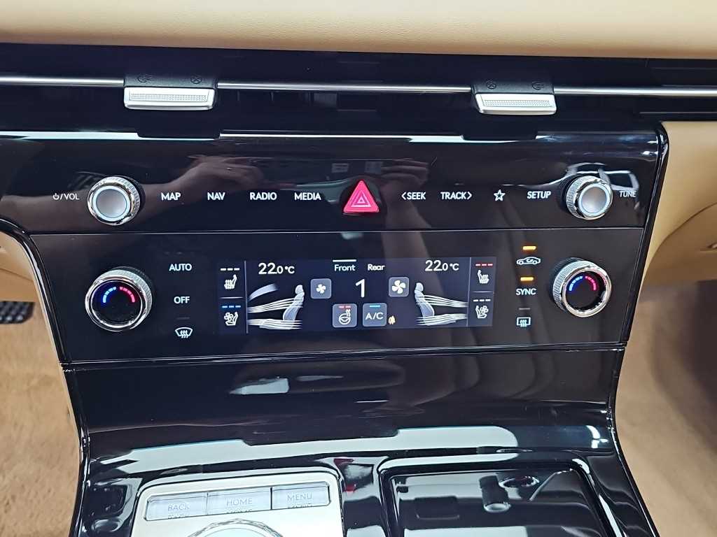 Genesis G80 - Vista 10