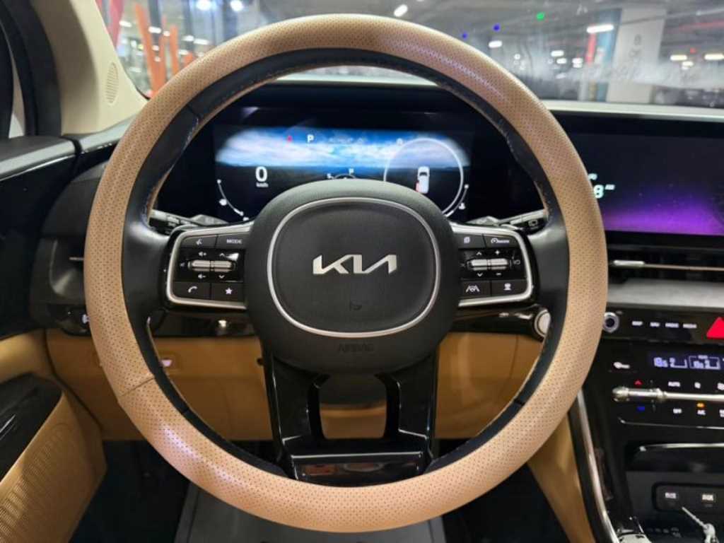 KIA Carnival - Vista 8