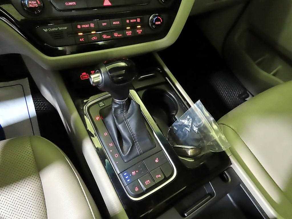 KIA Carnival - Vista 12