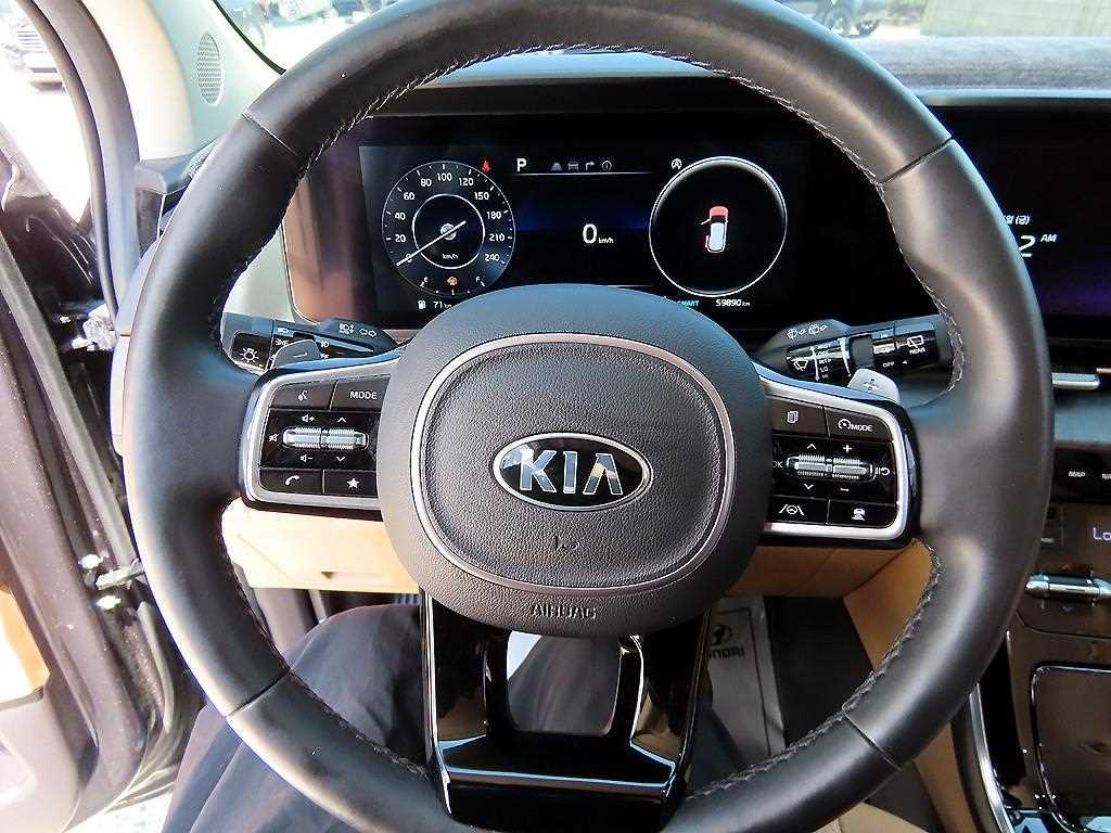 KIA Carnival - Vista 9