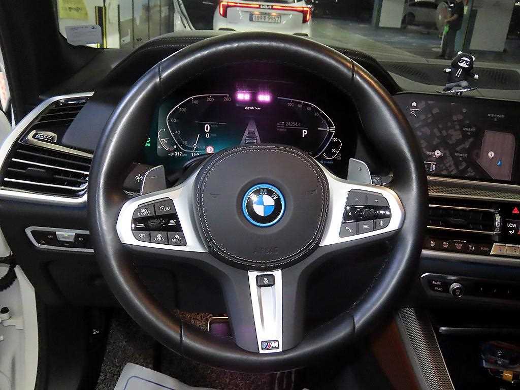 BMW X5 - Vista 8