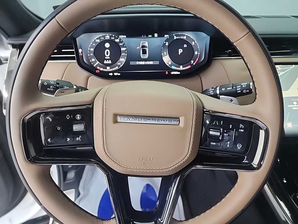 Land Rover Range Rover Sports - Vista 9